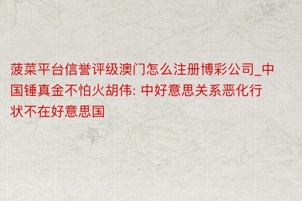 菠菜平台信誉评级澳门怎么注册博彩公司_中国锤真金不怕火胡伟: 中好意思关系恶化行状不在好意思国