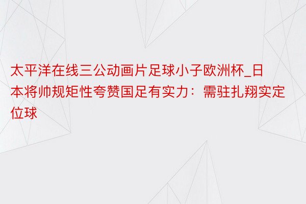 太平洋在线三公动画片足球小子欧洲杯_日本将帅规矩性夸赞国足有实力：需驻扎翔实定位球